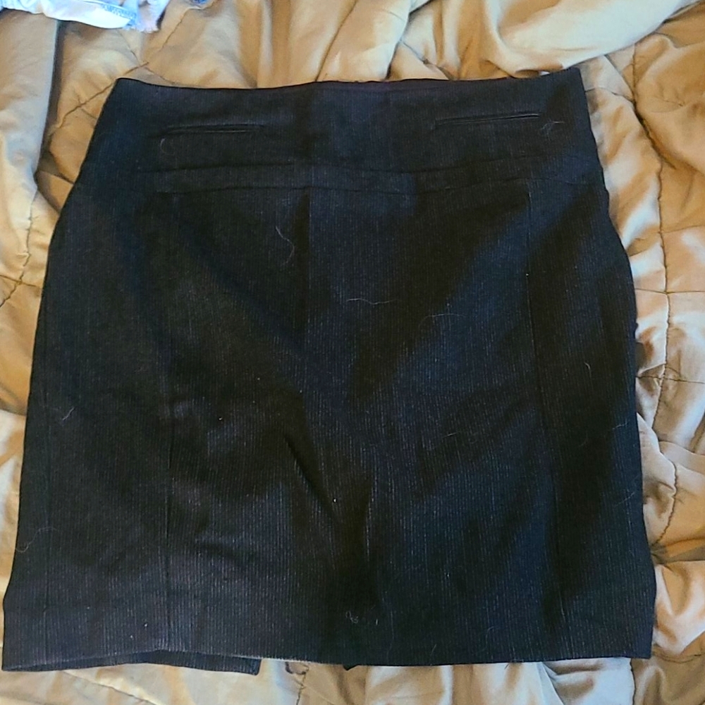 Express skirt